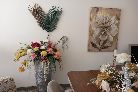 decoracao